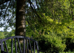 Banc dans le parc du Château de la Rairie à Pont Saint Martin (44)