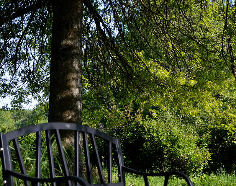 Banc dans le parc du Château de la Rairie à Pont Saint Martin (44)