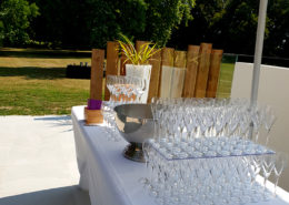 Cocktail sur la Terrasse au chateau de la rairie à Pont saint Martin