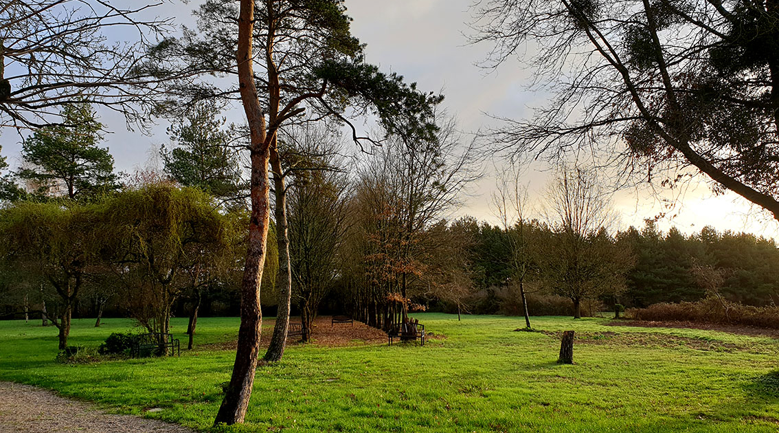 Grand parc arboré a quelque minutes de Nantes au Chateau de la Rairie (44)