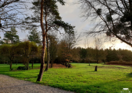 Grand parc arboré a quelque minutes de Nantes au Chateau de la Rairie (44)