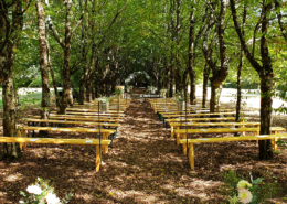 Cérémonie dans l'Allée des Amoureux dans le parc du Chateau de la Rairie 44