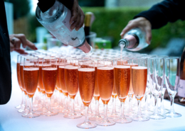 Service du Cocktail sur la Terrasse au Chateau de la Rairie à Nantes