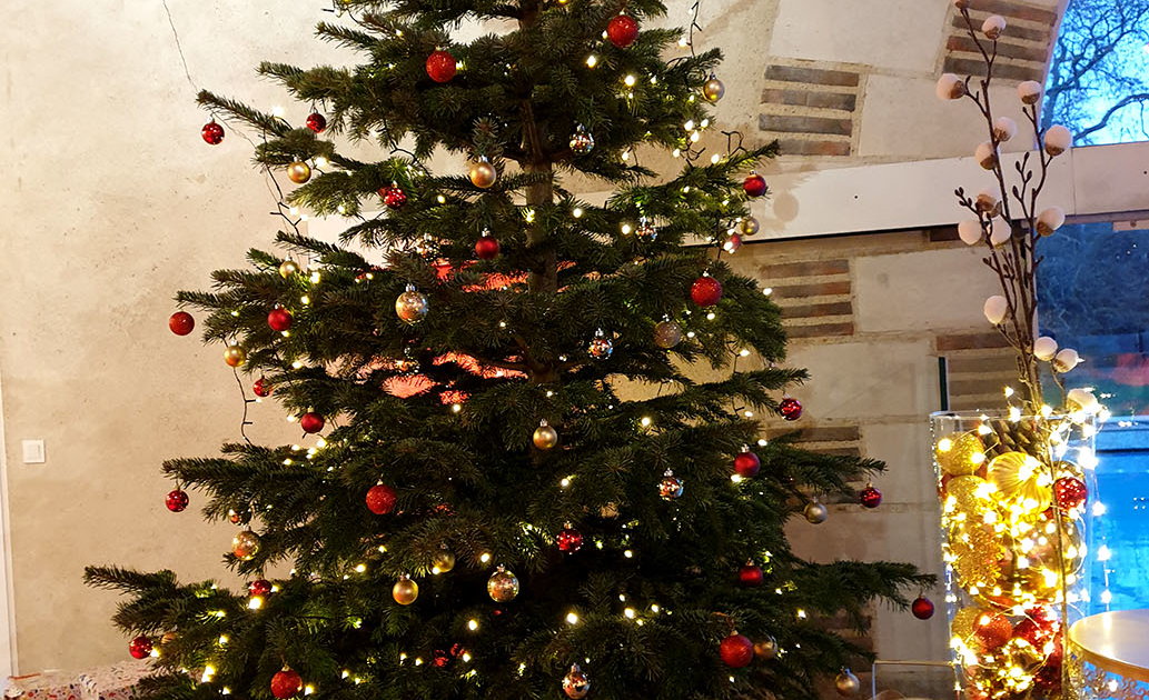 Arbre de Noël d'une entreprise au Chateau de la Rairie près de Nantes