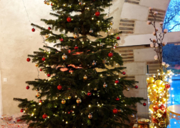 Arbre de Noël d'une entreprise au Chateau de la Rairie près de Nantes