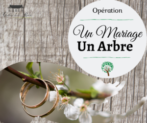 Opération 1 Mariage 1 arbre pour l'amour et la planète 44