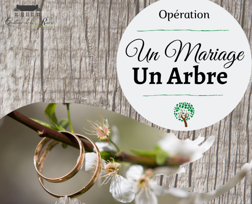 Opération 1 Mariage 1 arbre pour l'amour et la planète 44