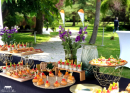 Cocktail Séminaire sur la Terrasse au bord de la piscine au Chateau de la Rairie 44