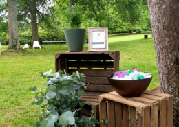 Décoration de mariage dans le Parc du Château de la Rairie 44