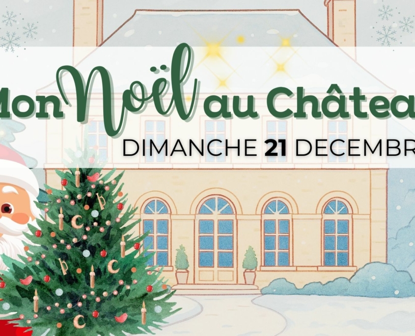 Spectacle de Noël au Château de la Rairie